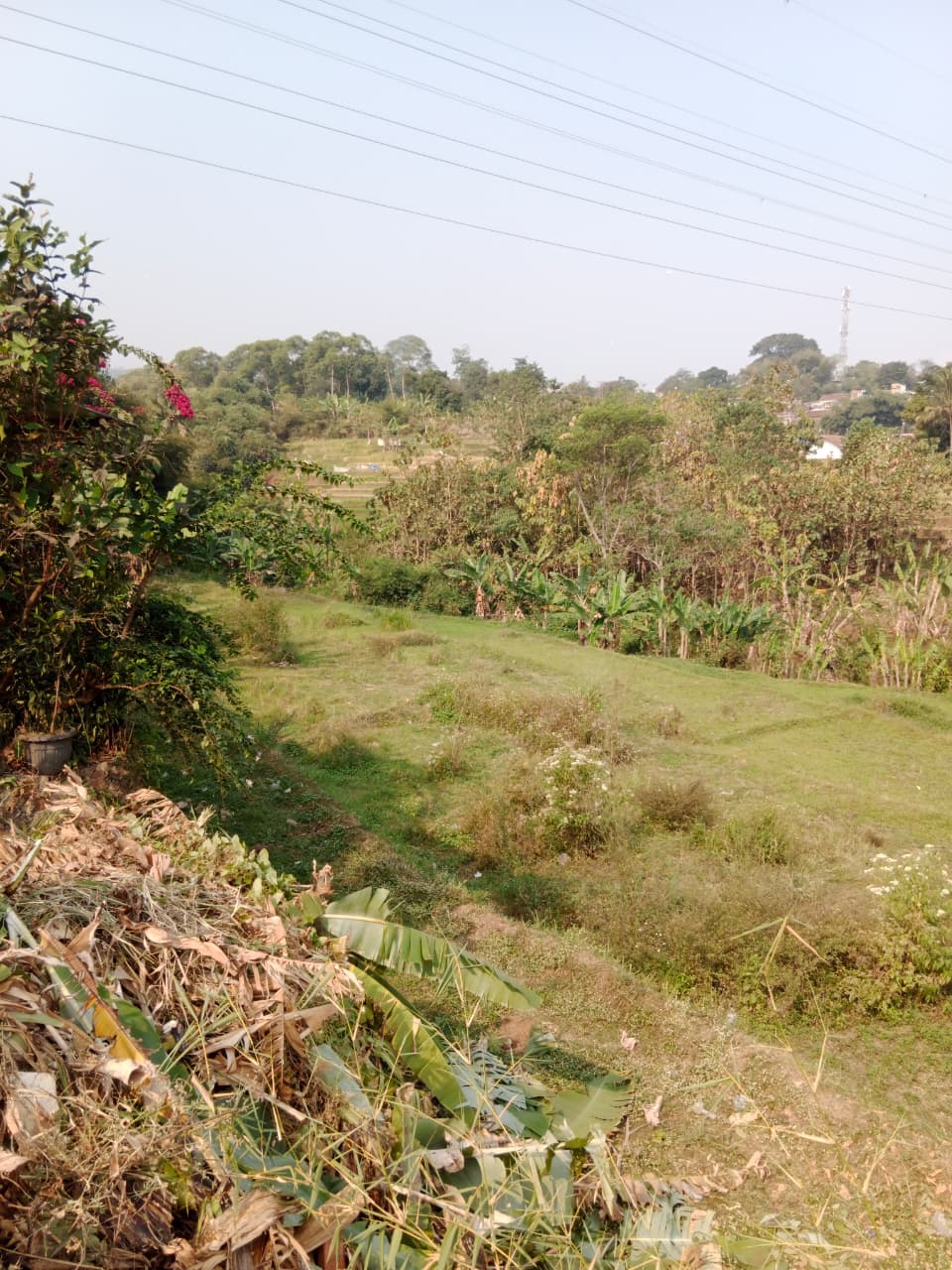 Kondisi lahan Cigending dari sisi area hijau